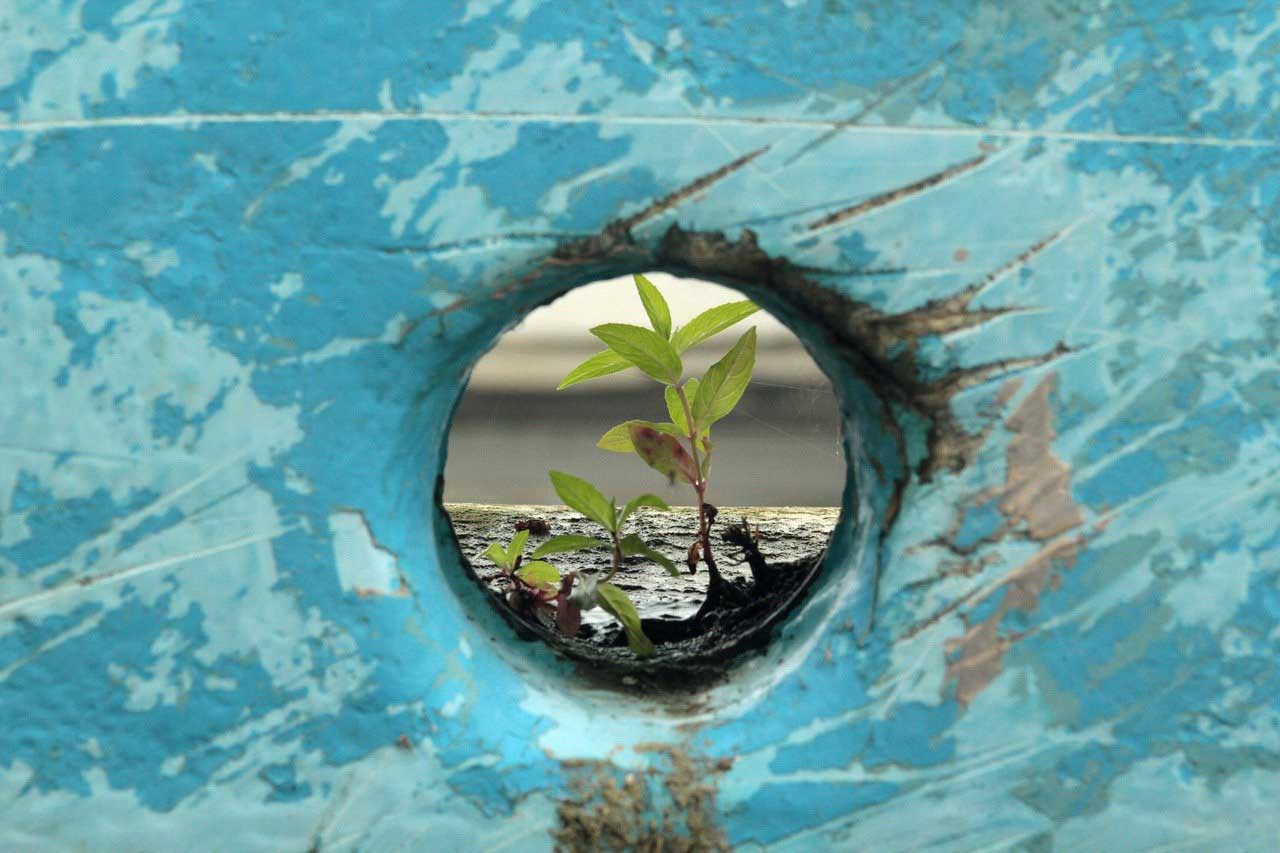 Resilience Coaching - Dorchester and Ringwood, Dorset