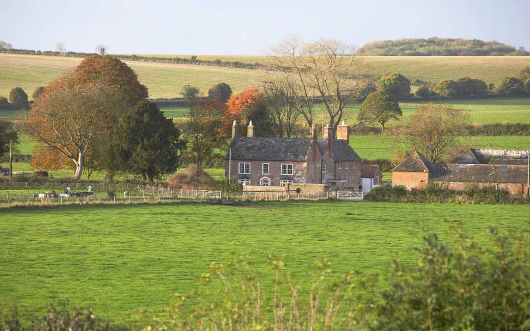 Wellbeing Day Retreat at Launceston Farm, Blandford 17th October 2021